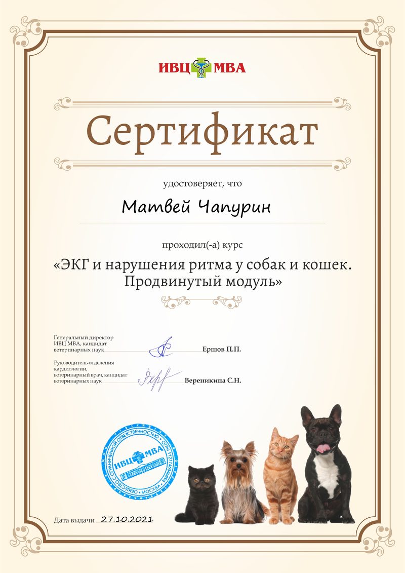 Документ или сертификат