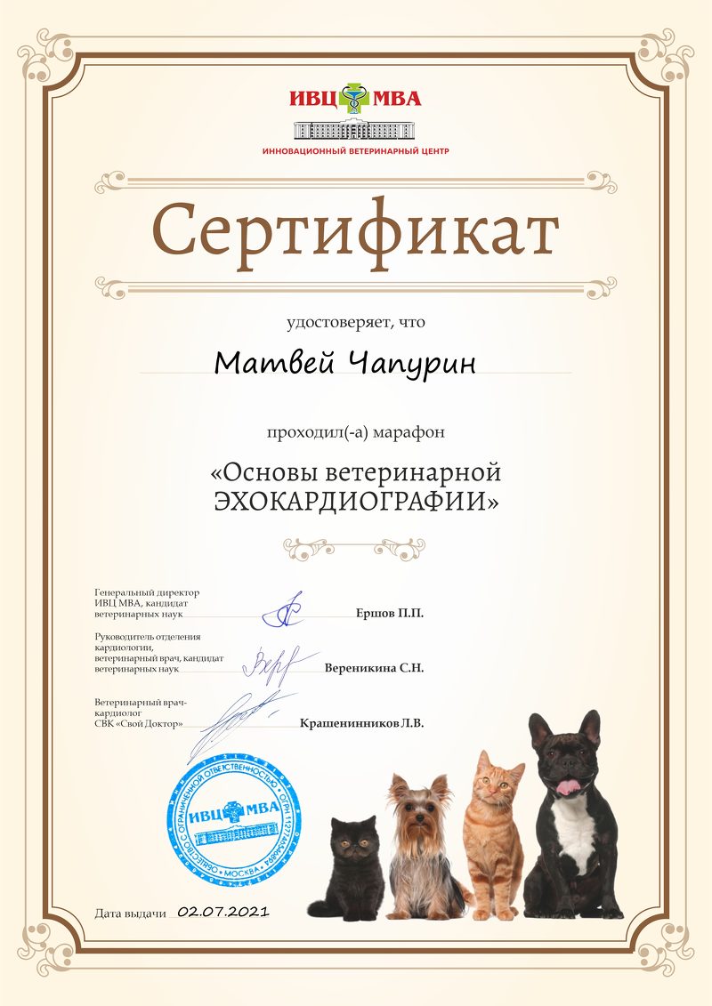 Документ или сертификат