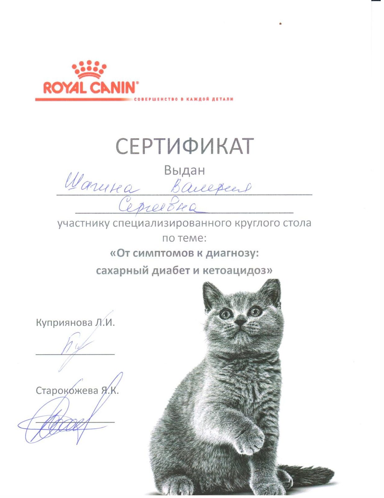 Документ или сертификат