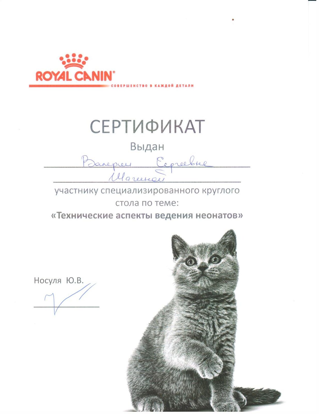 Документ или сертификат