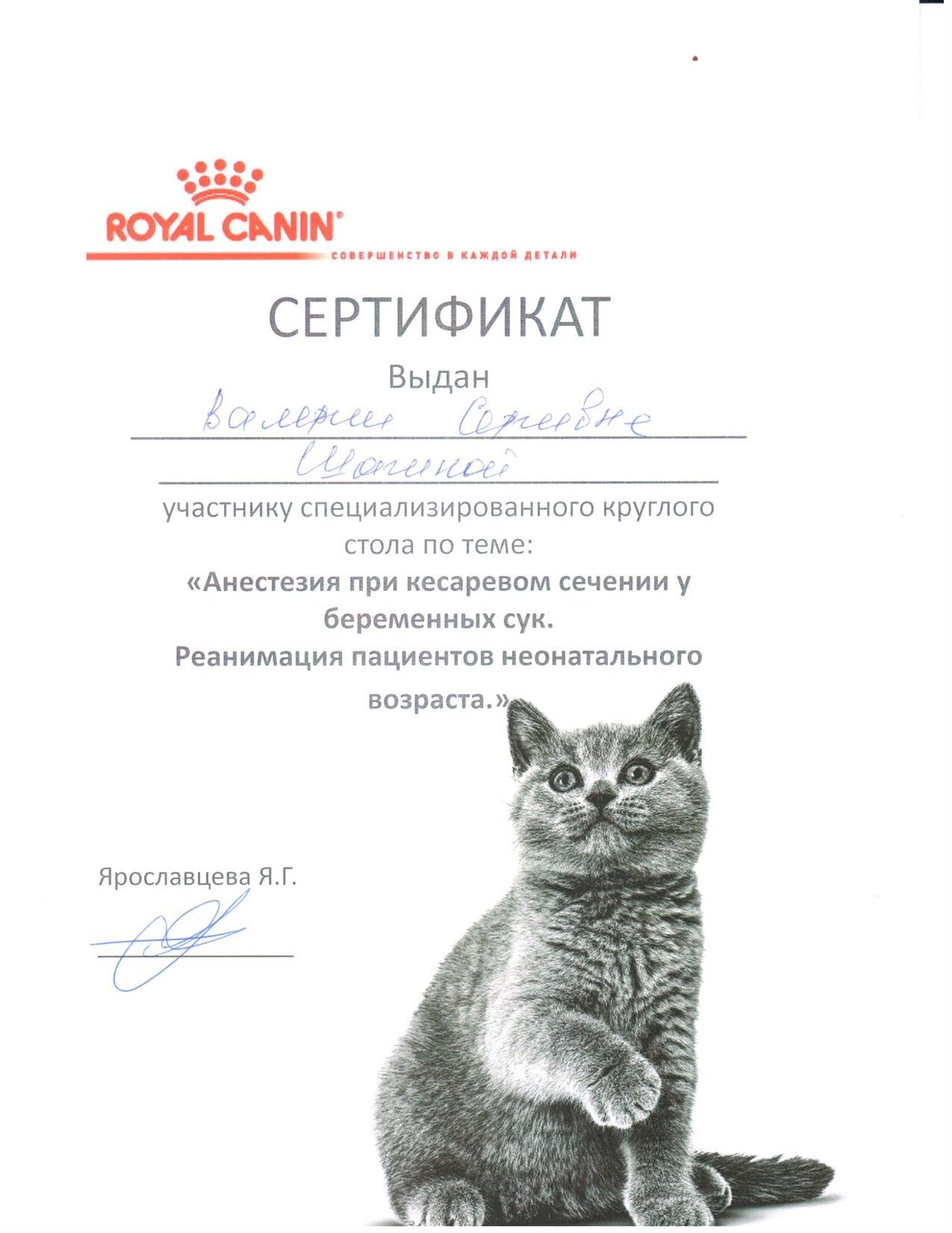 Документ или сертификат