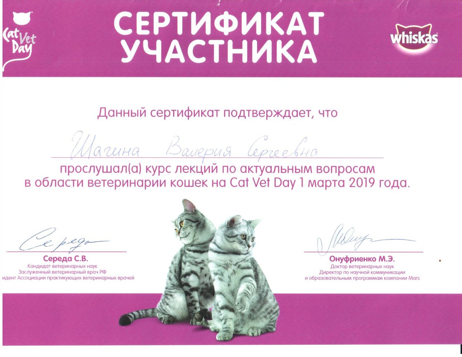 Документ или сертификат
