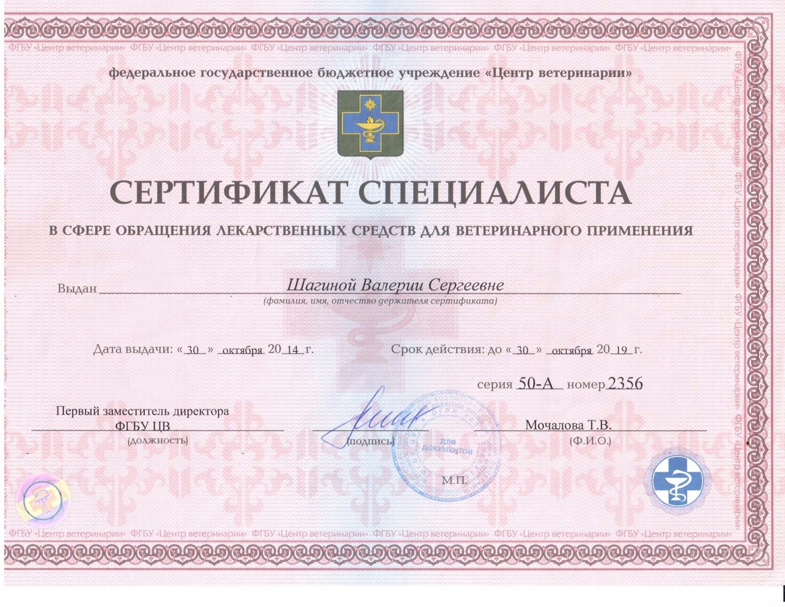 Документ или сертификат