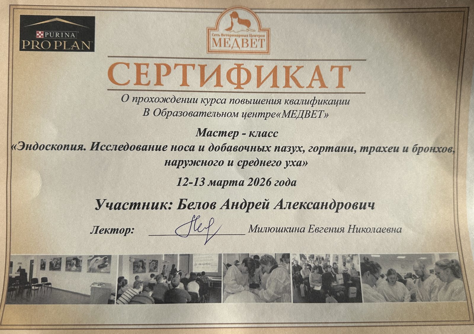 Документ или сертификат