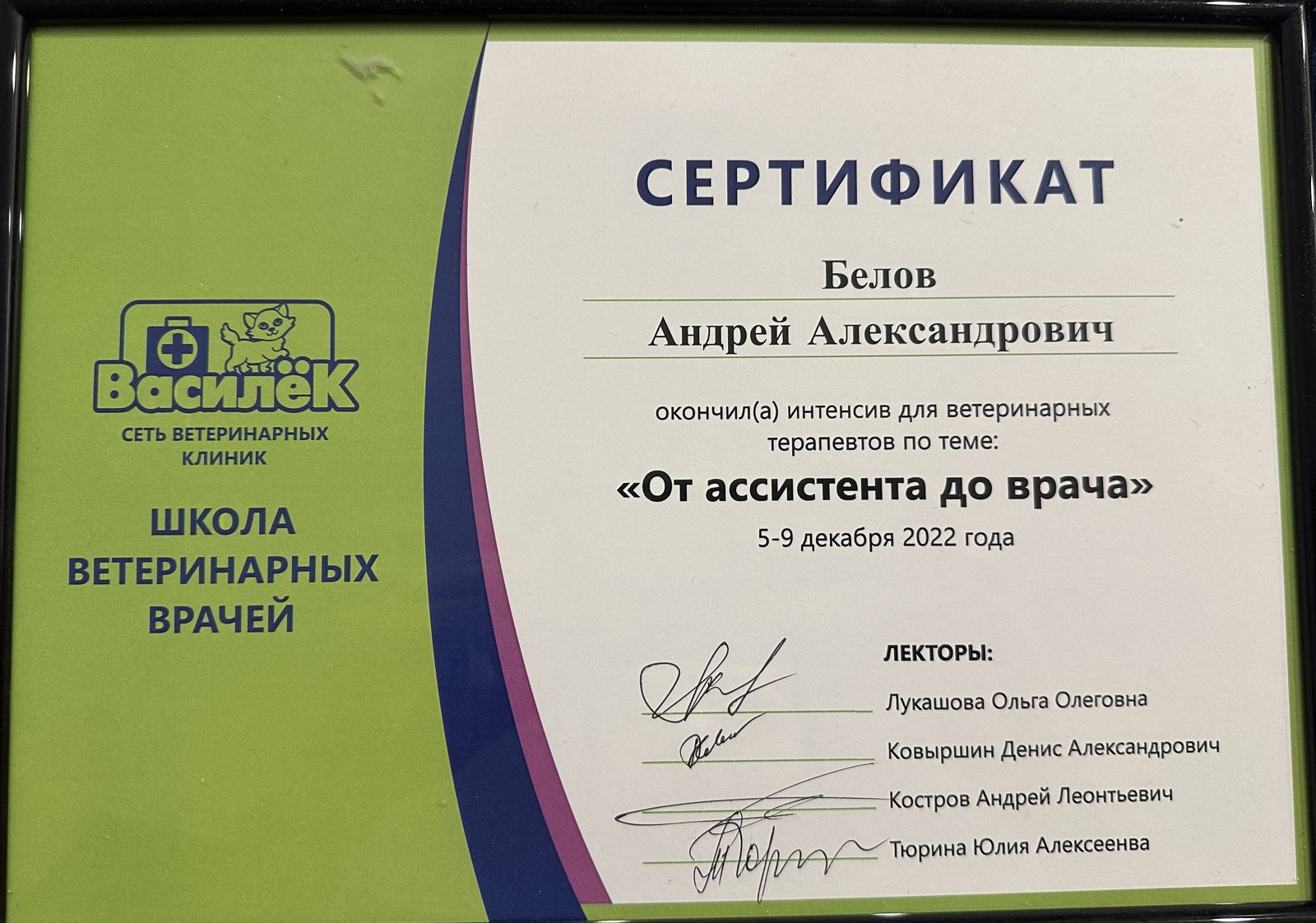 Документ или сертификат