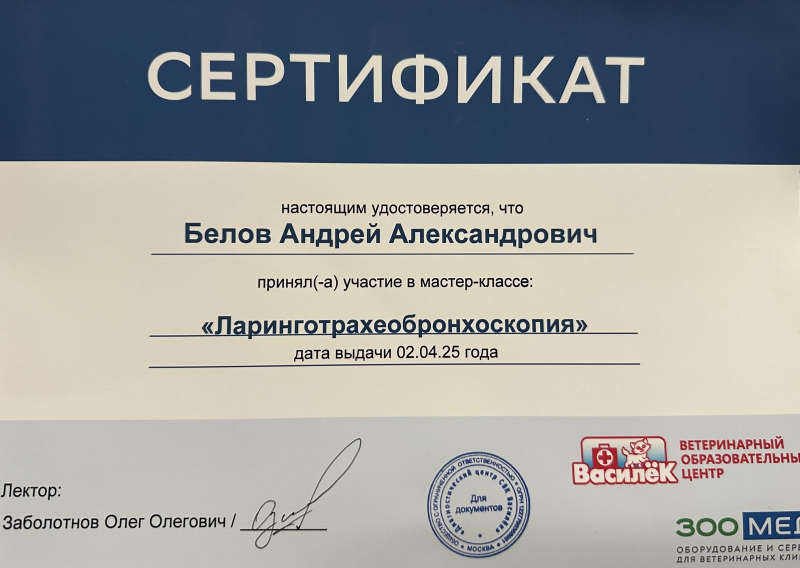 Документ или сертификат