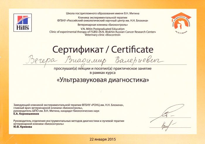 Документ или сертификат