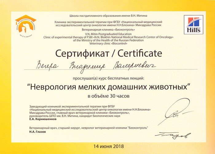 Документ или сертификат
