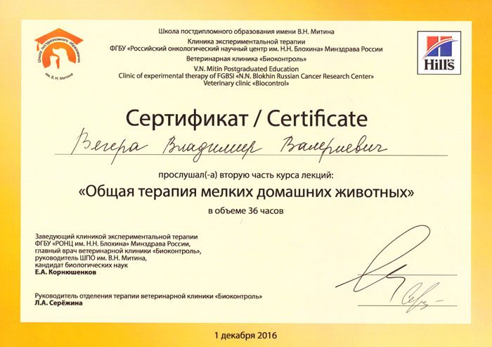 Документ или сертификат