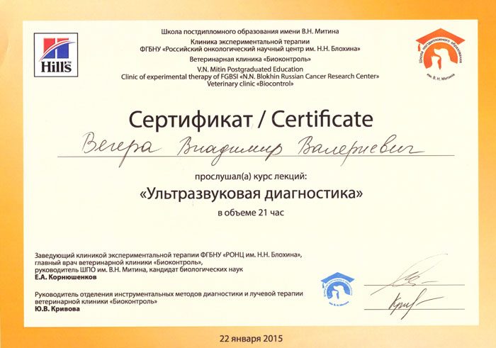 Документ или сертификат