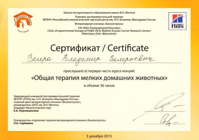 Документ или сертификат