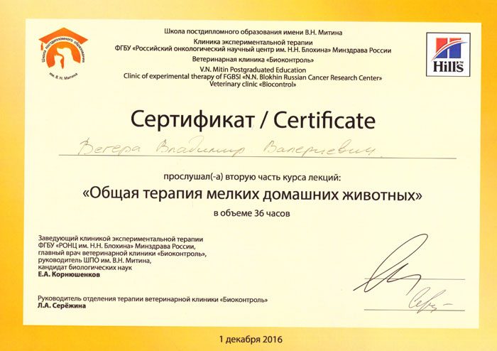 Документ или сертификат