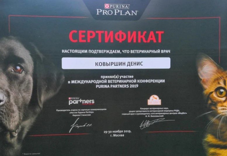Документ или сертификат