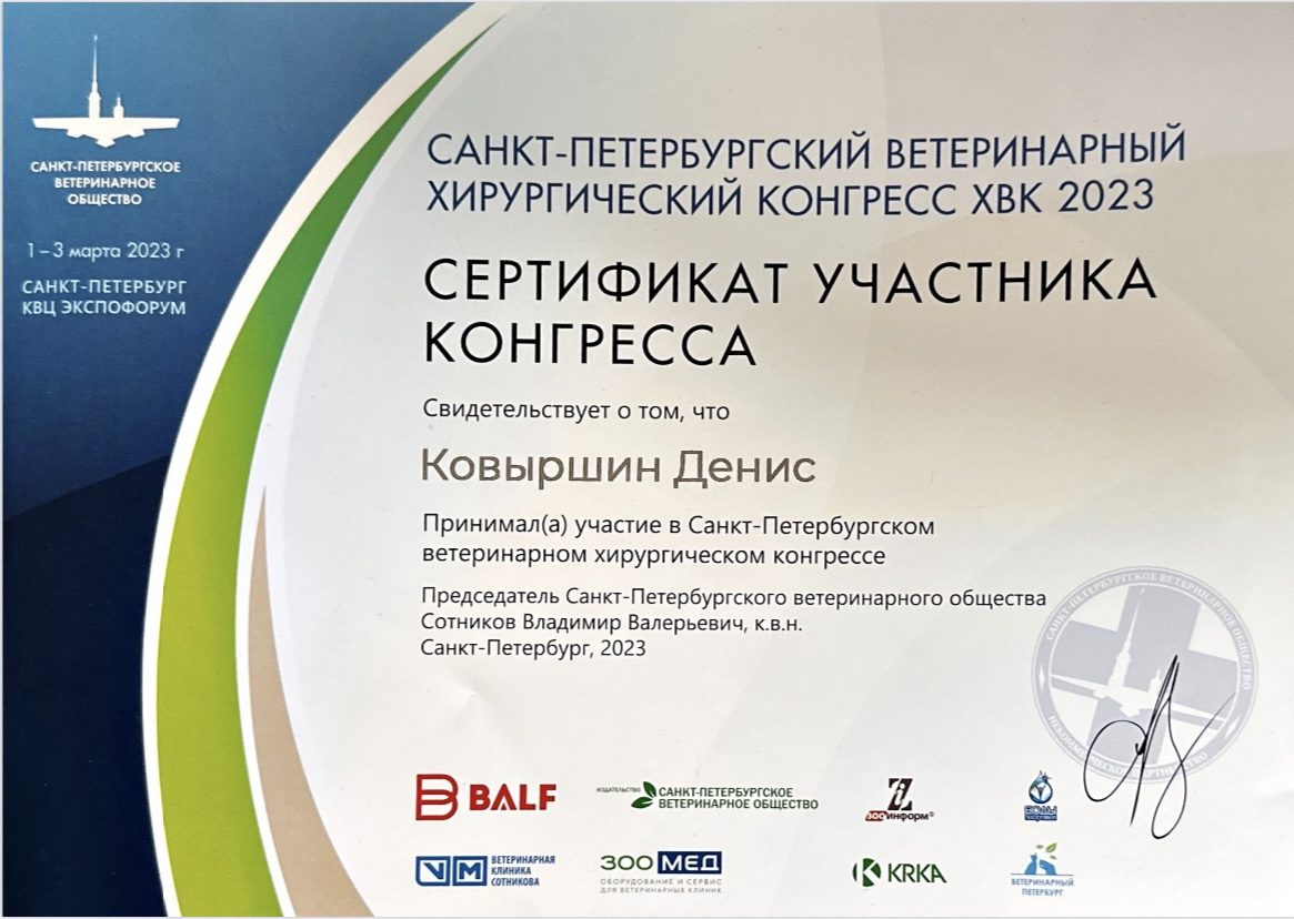 Документ или сертификат