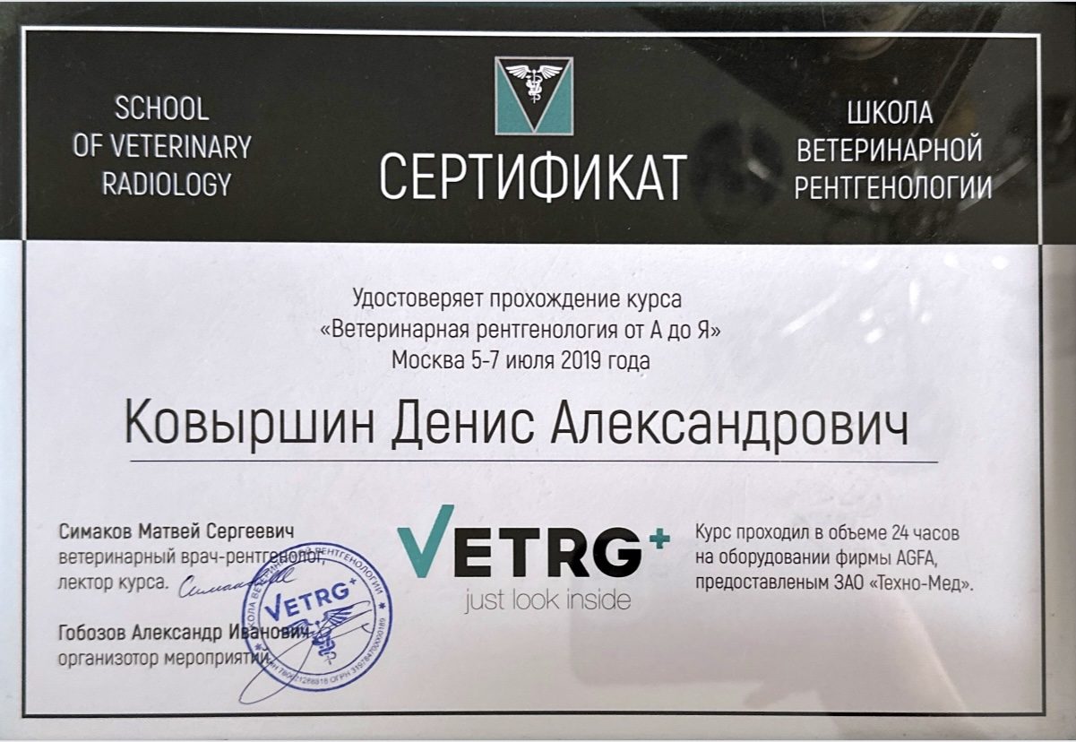 Документ или сертификат