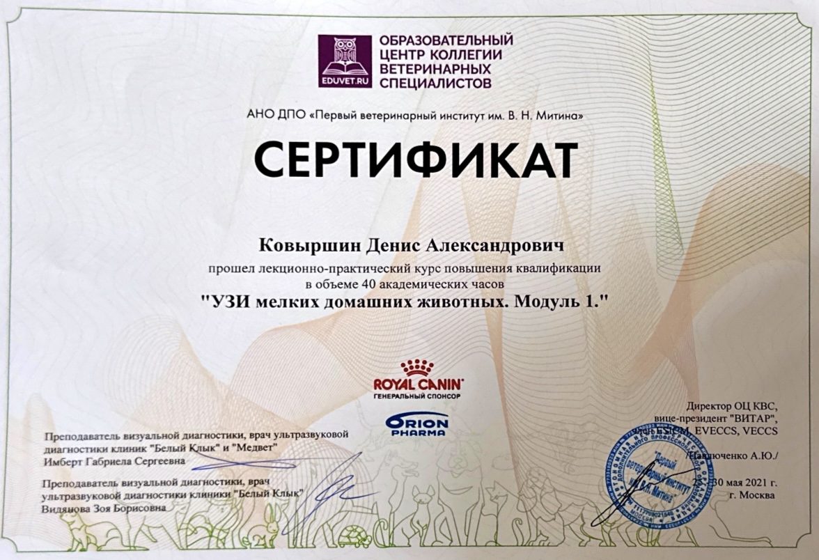 Документ или сертификат