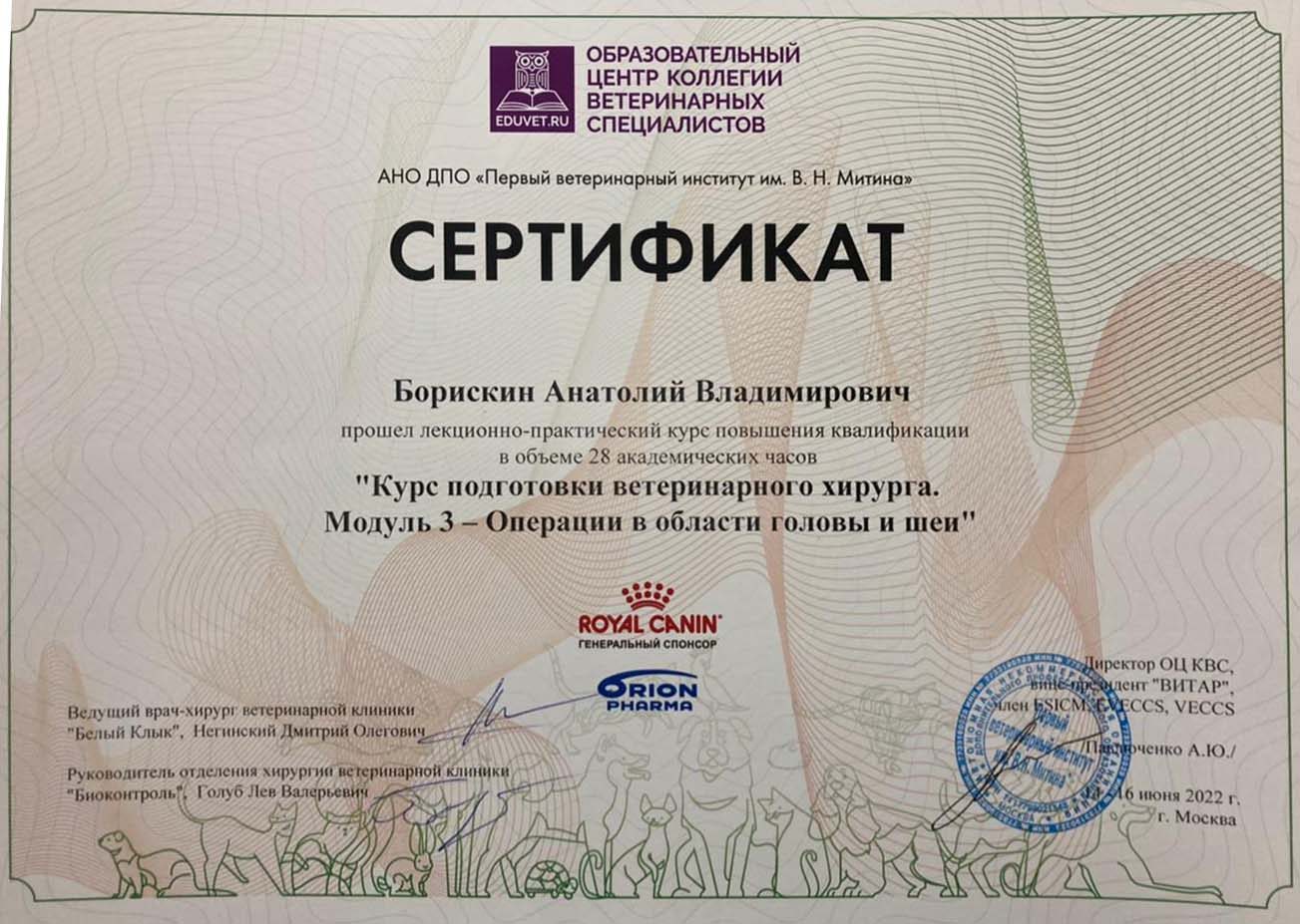 Документ или сертификат