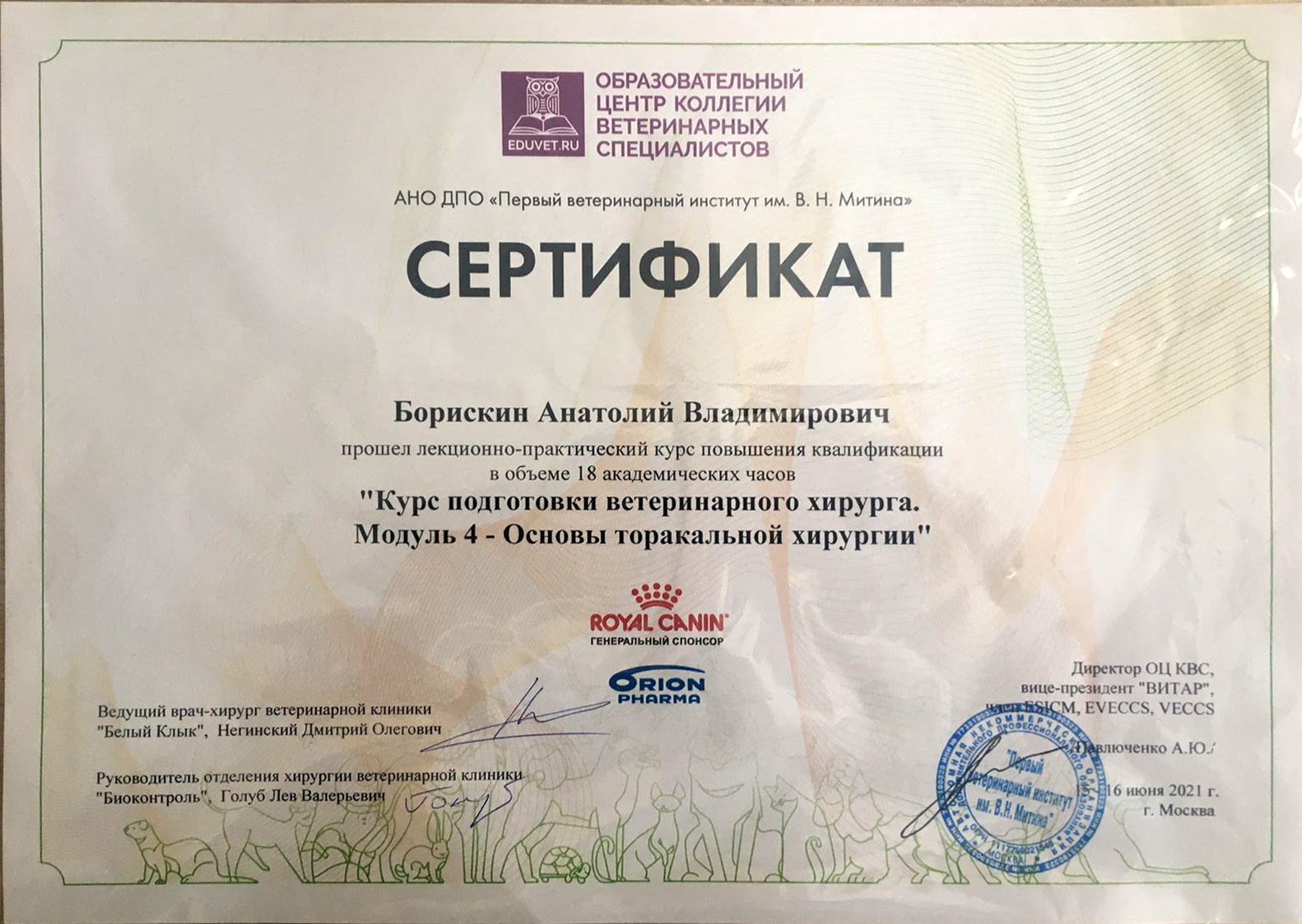 Документ или сертификат