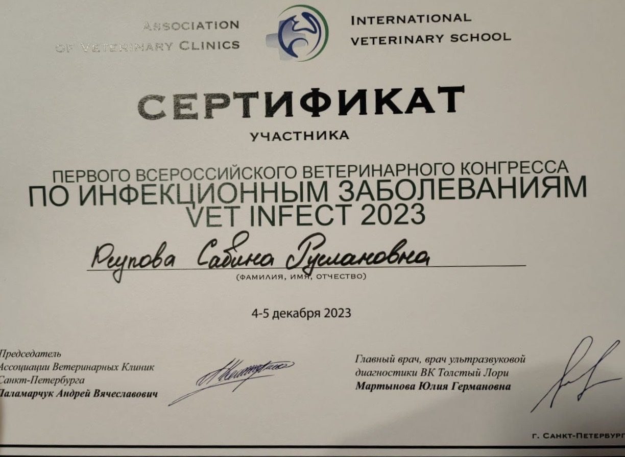 Документ или сертификат