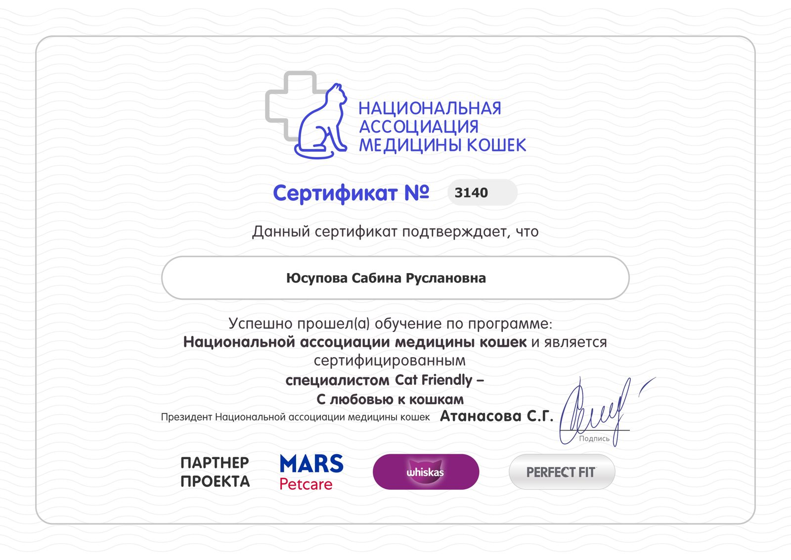 Документ или сертификат