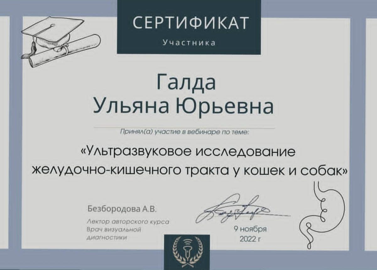 Документ или сертификат