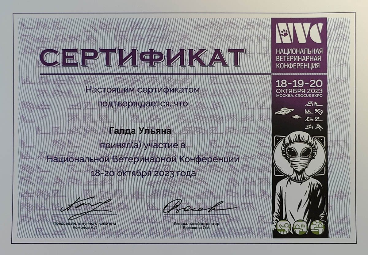 Документ или сертификат