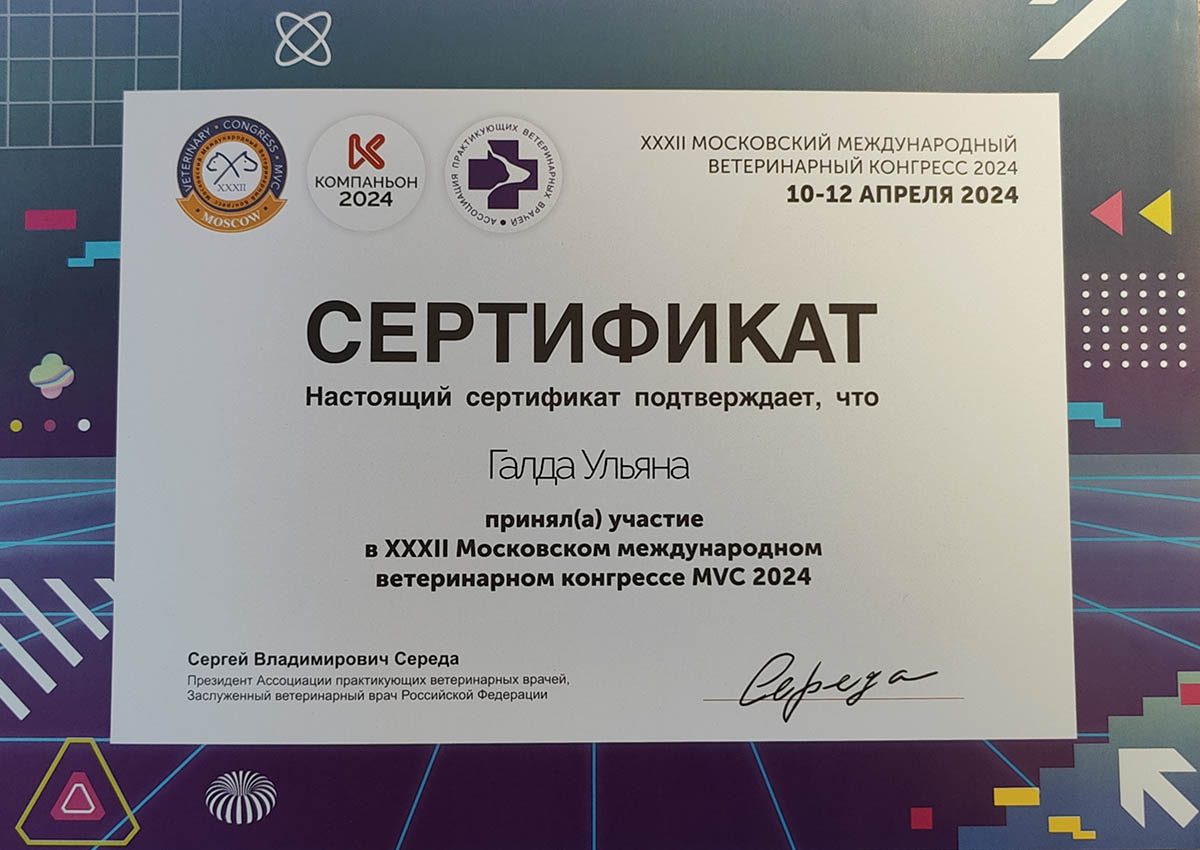 Документ или сертификат