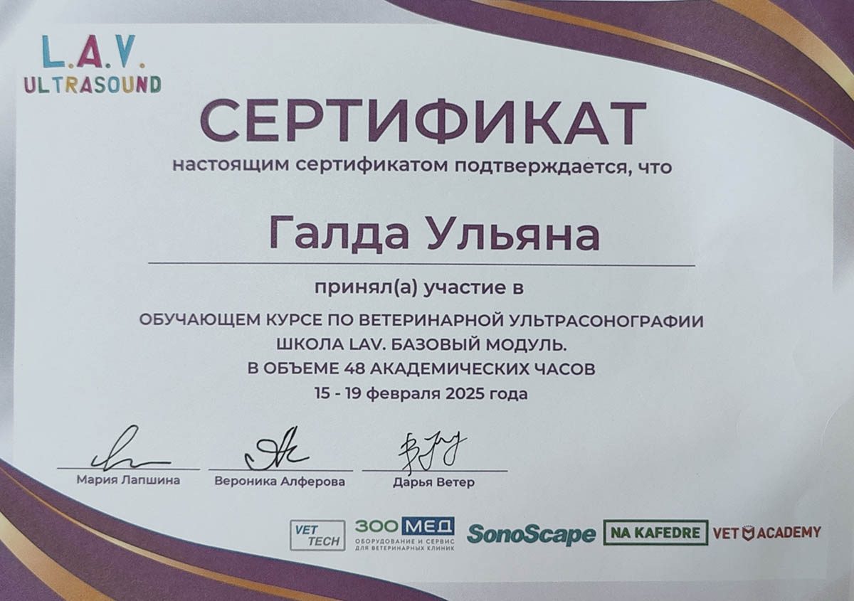 Документ или сертификат