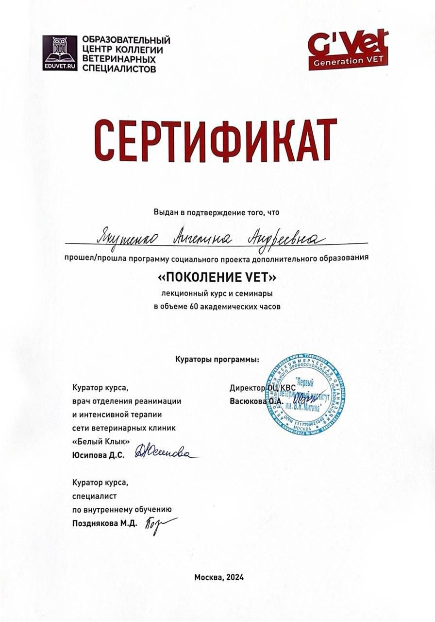 Документ или сертификат