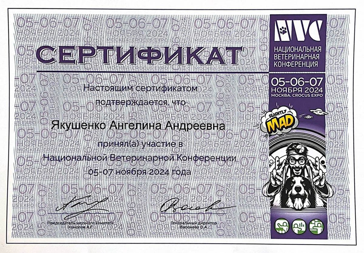 Документ или сертификат