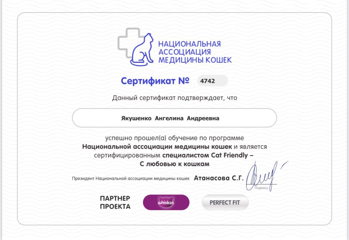 Документ или сертификат