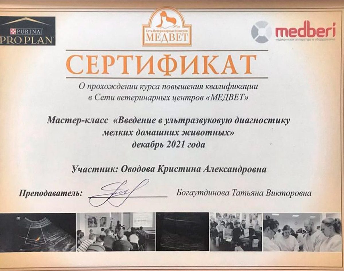 Документ или сертификат