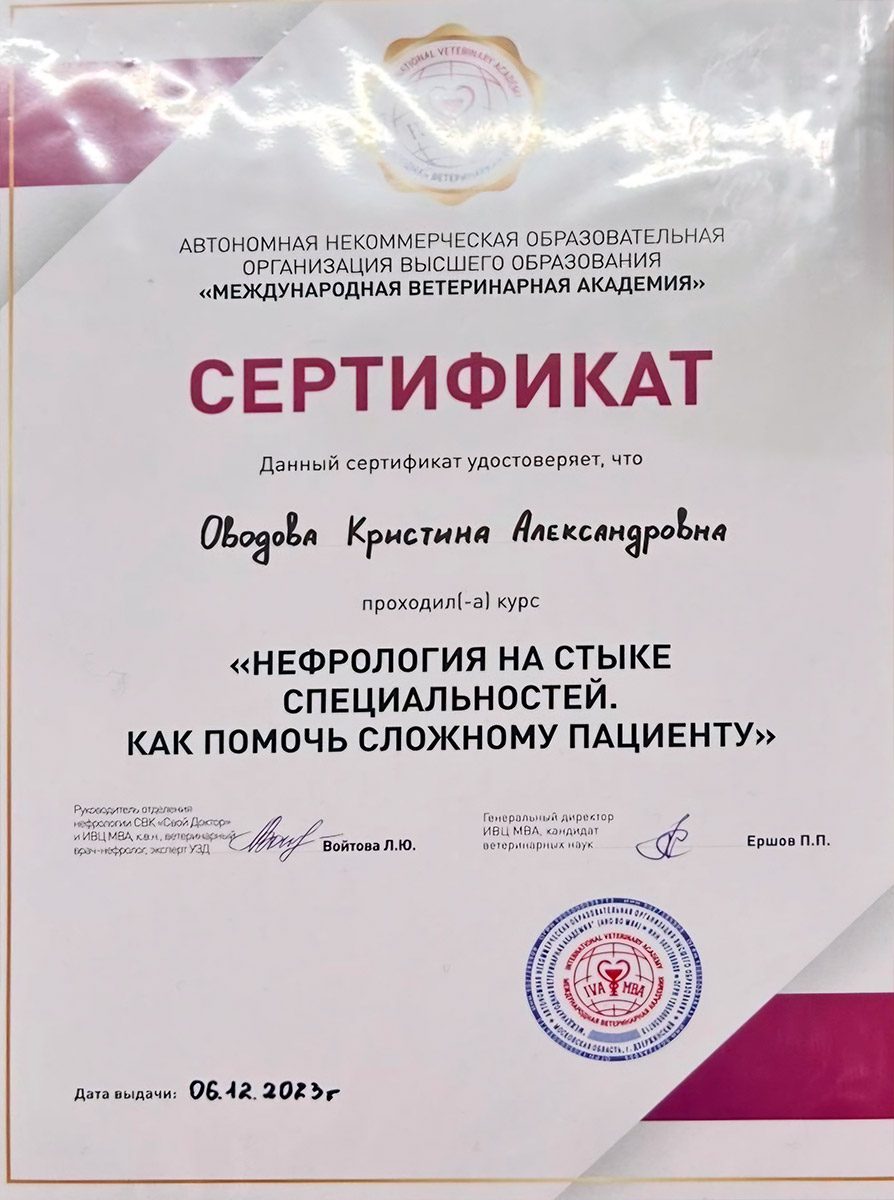 Документ или сертификат