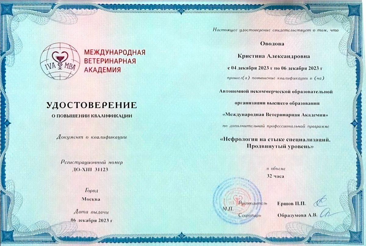 Документ или сертификат