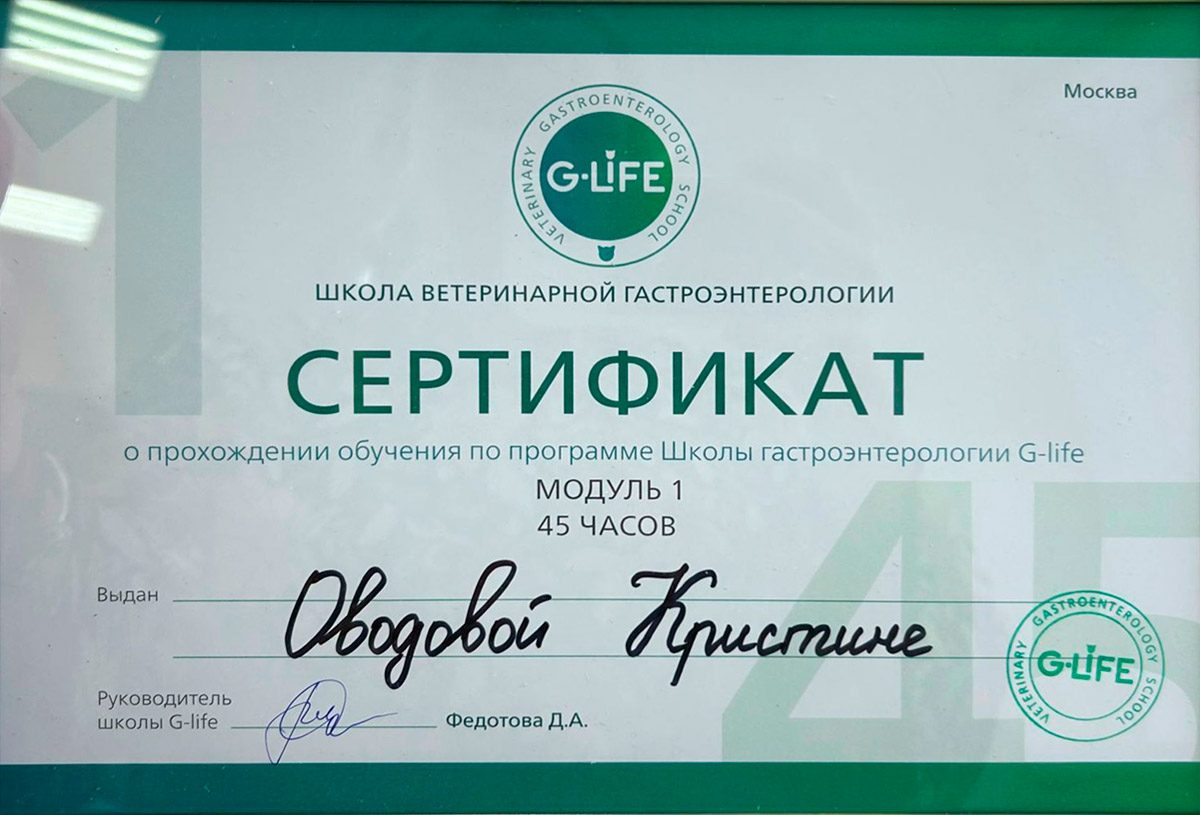 Документ или сертификат