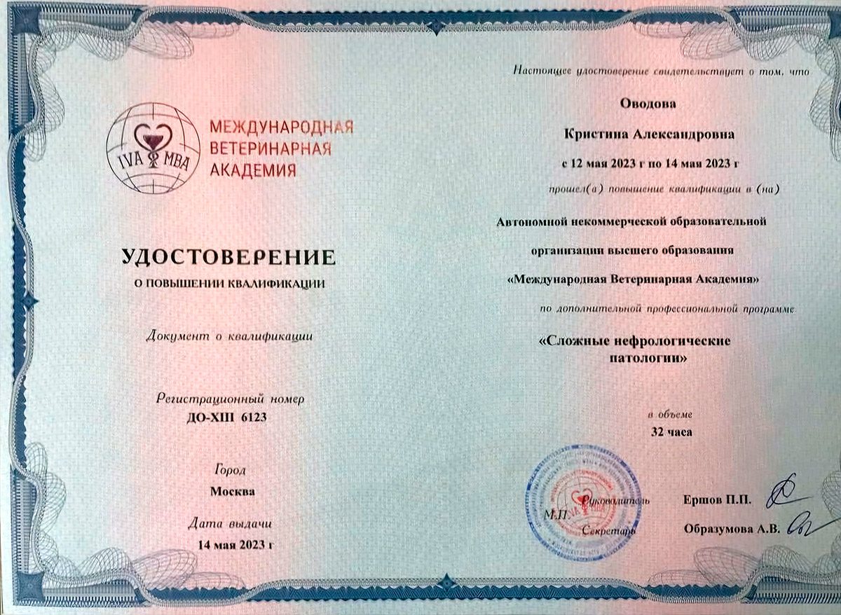 Документ или сертификат