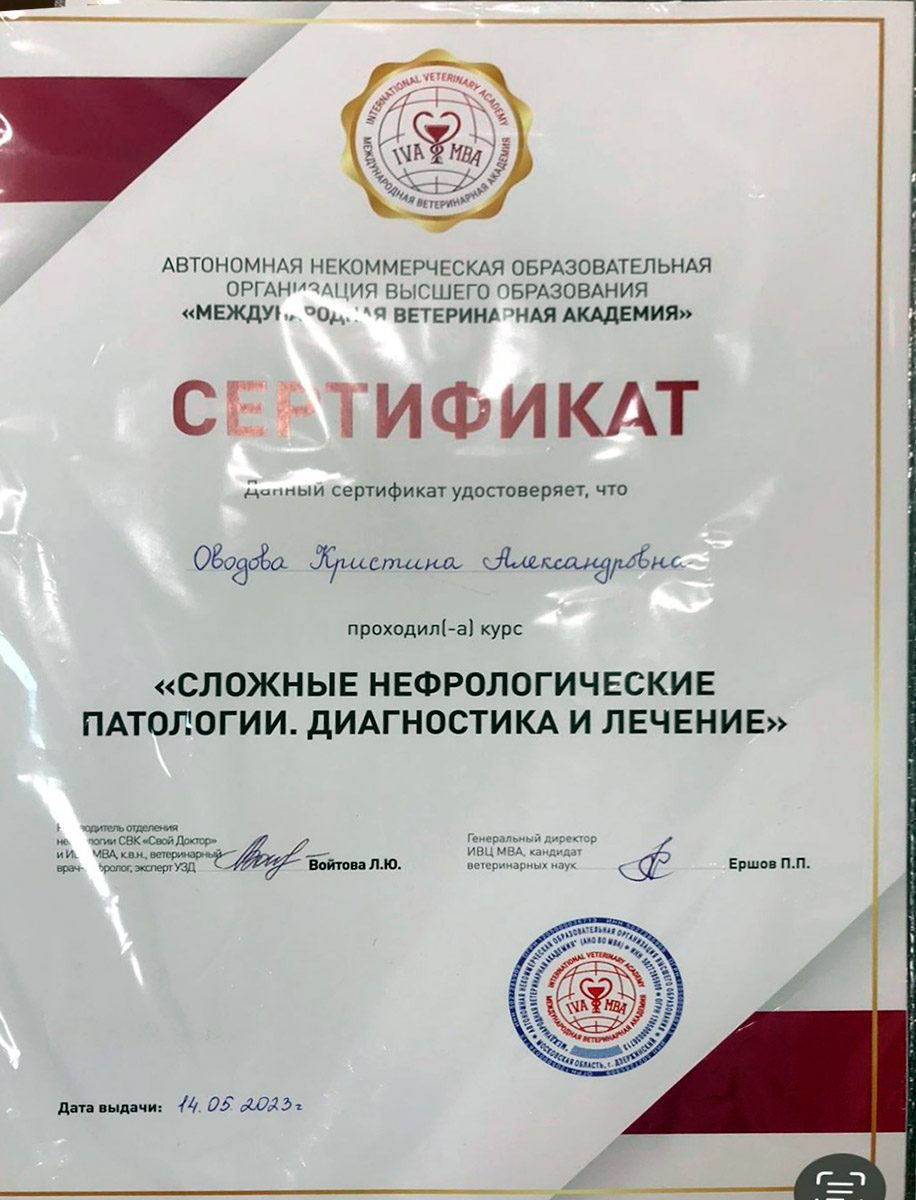 Документ или сертификат