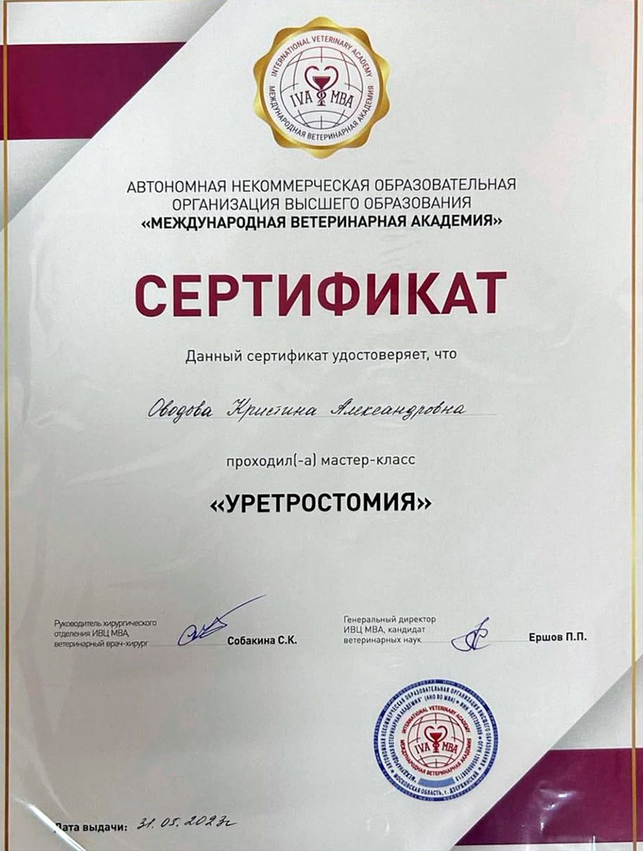 Документ или сертификат