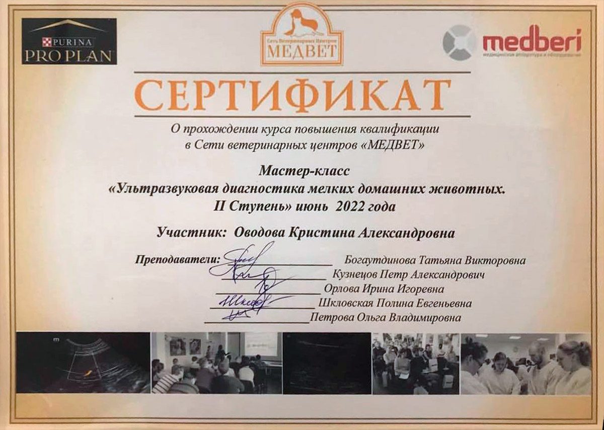 Документ или сертификат