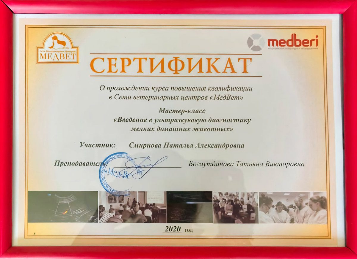 Документ или сертификат