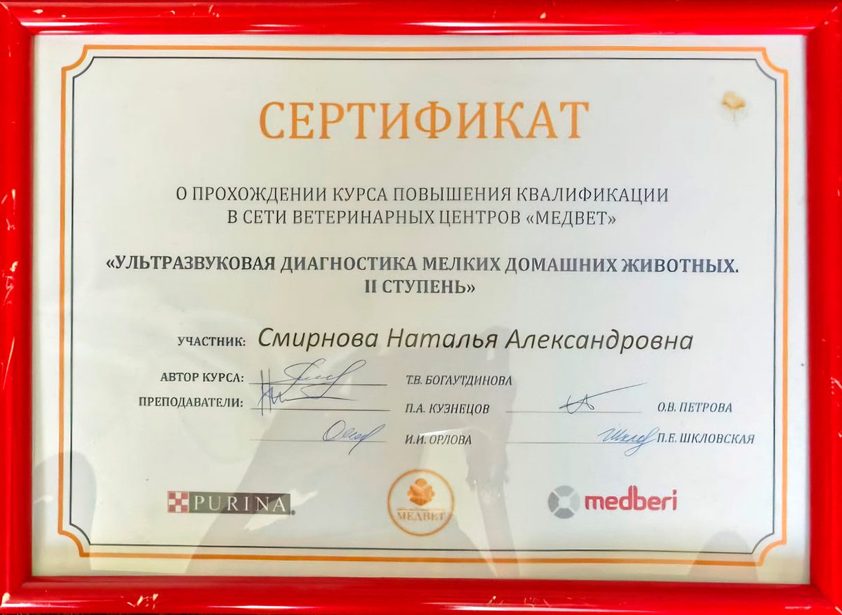 Документ или сертификат