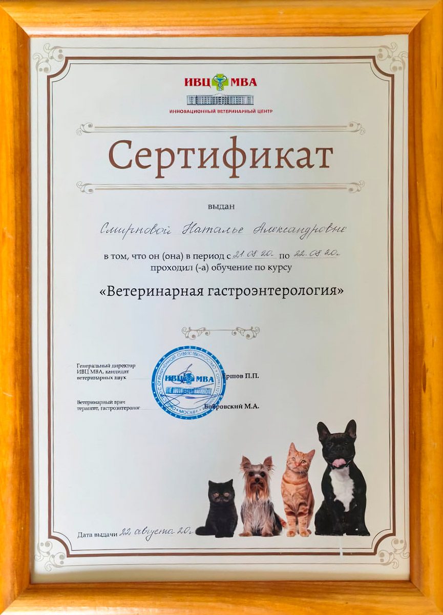 Документ или сертификат