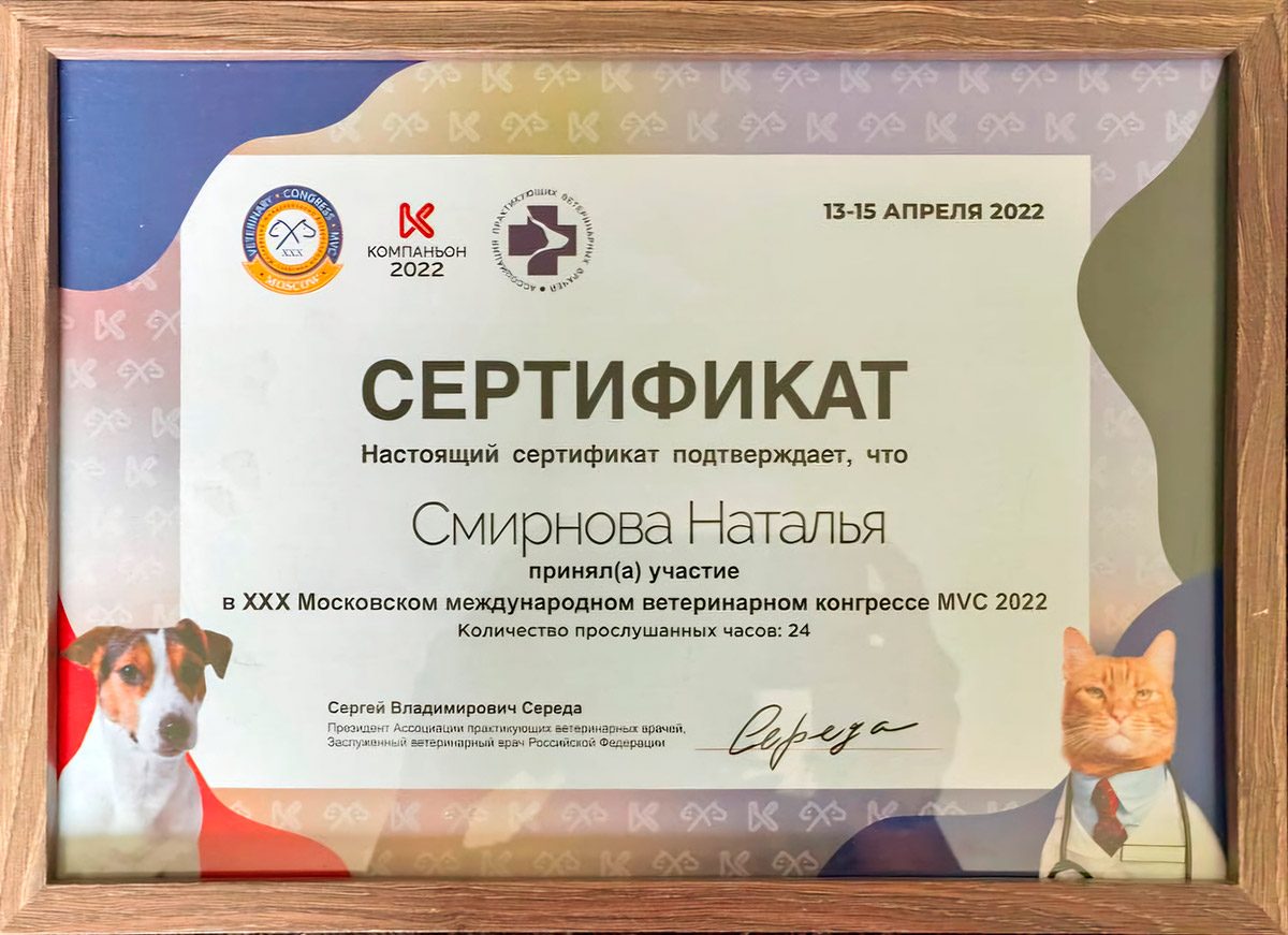 Документ или сертификат