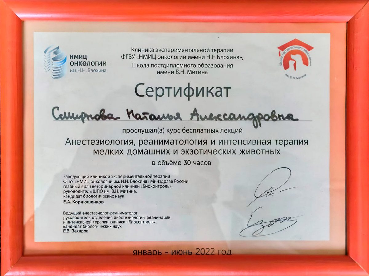 Документ или сертификат