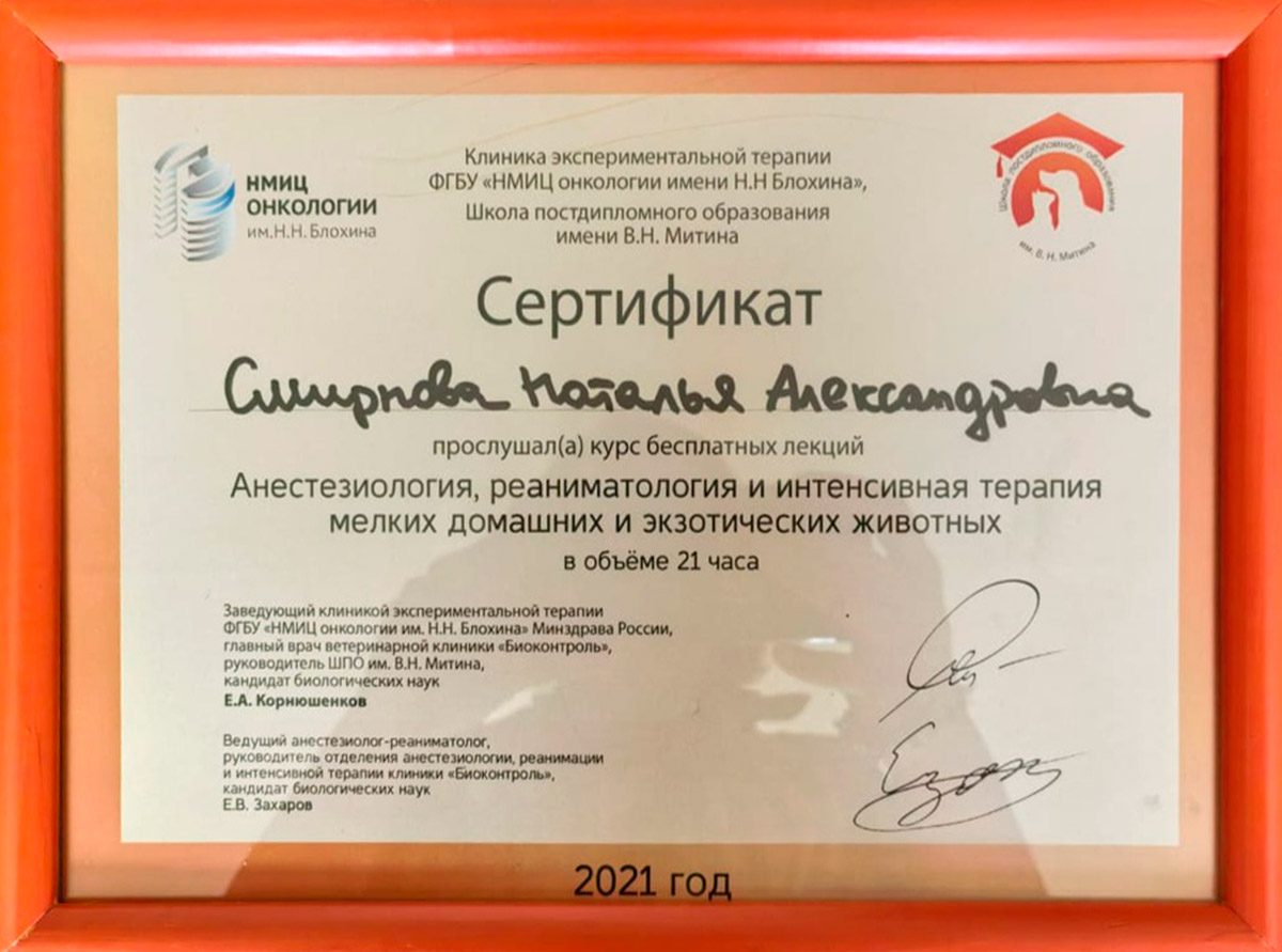 Документ или сертификат