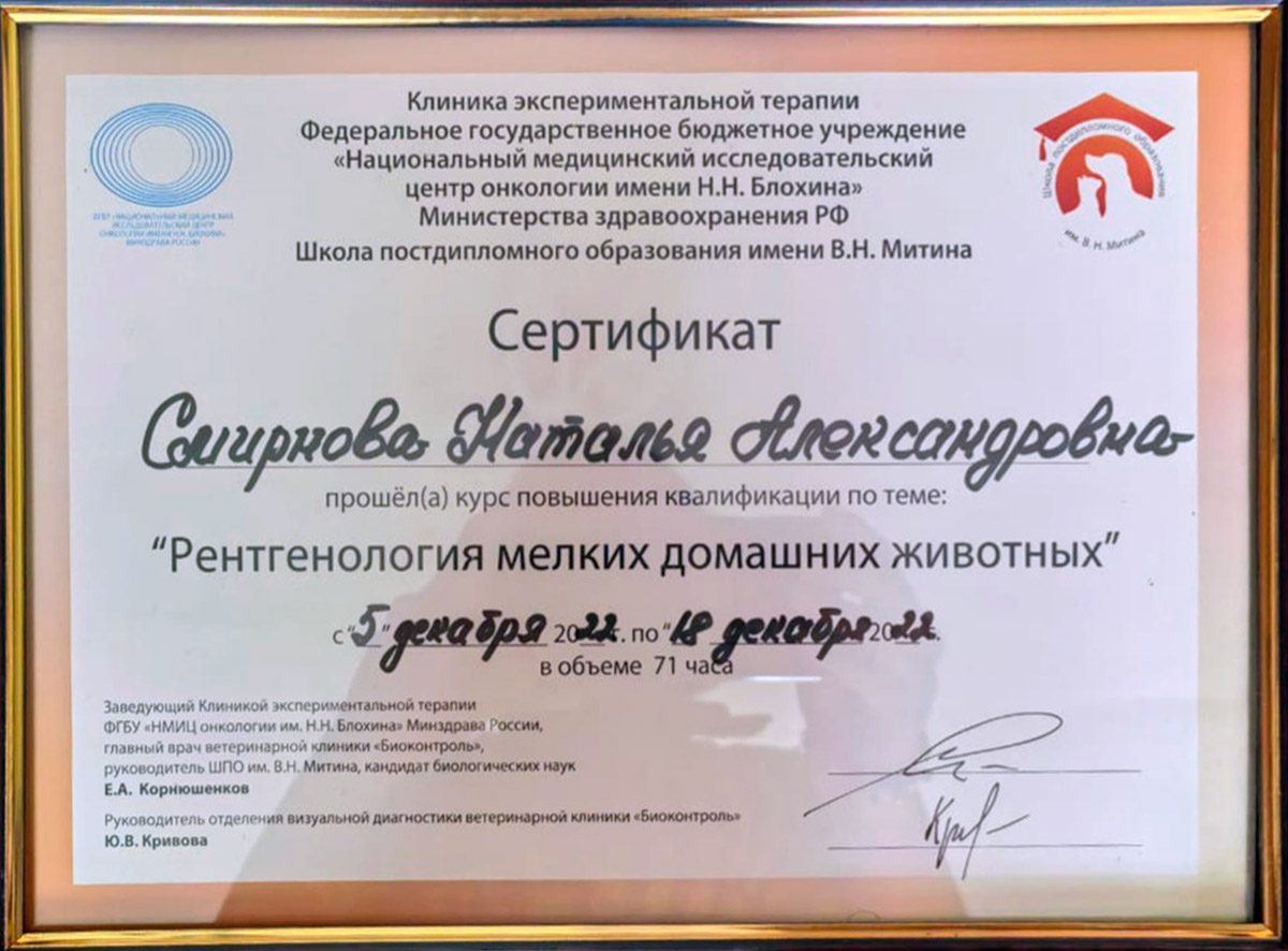 Документ или сертификат