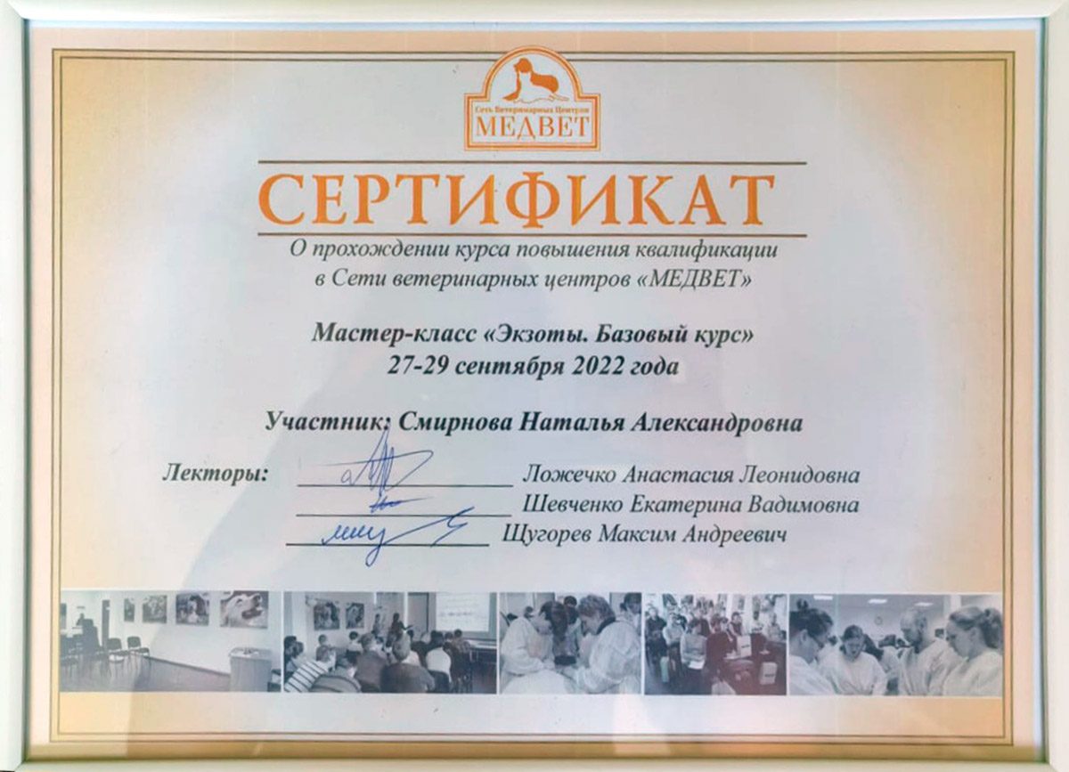 Документ или сертификат