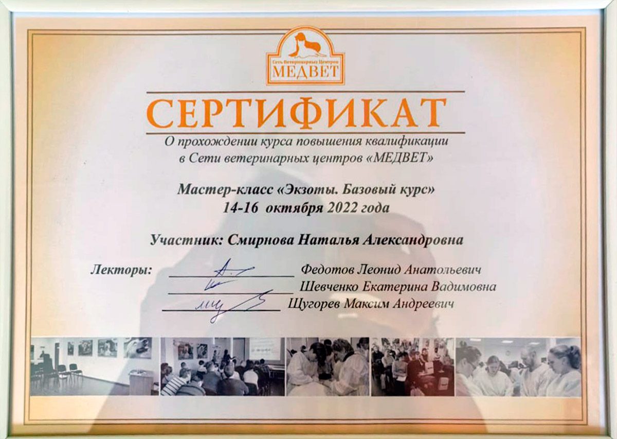 Документ или сертификат