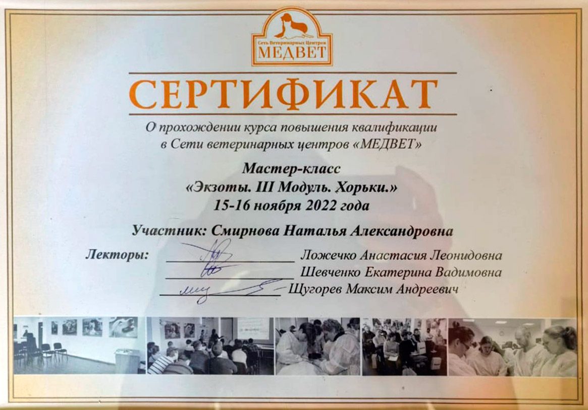 Документ или сертификат