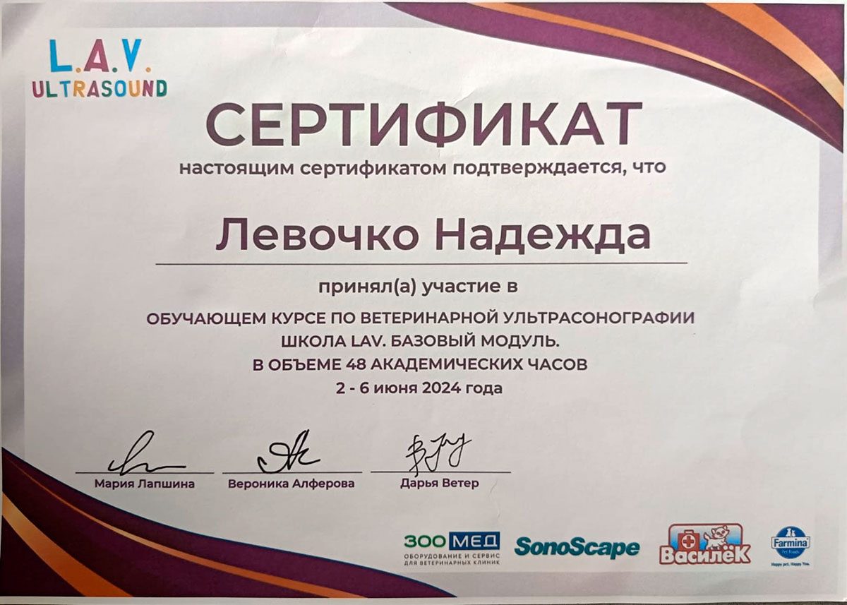 Документ или сертификат